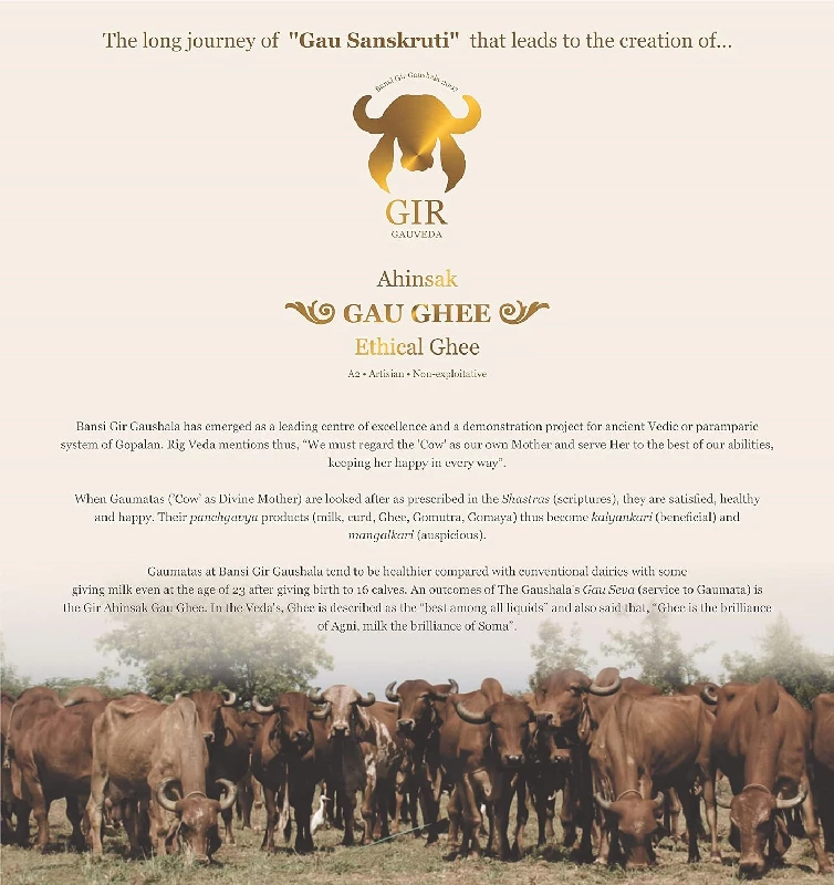 Gir Ahinsak Gau Ghee, 500 ml-6.webp